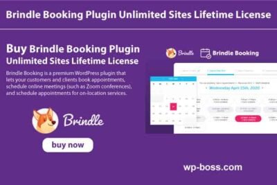 Brindle Booking Plugin Unlimited Sites Lifetime