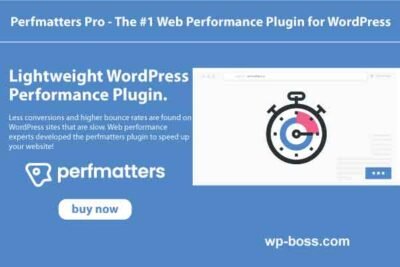 Perfmatters Pro