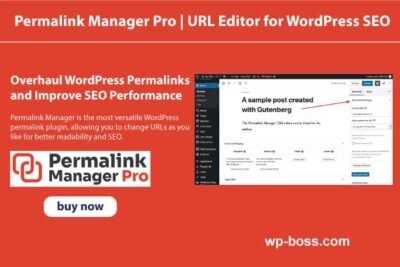 Permalink Manager Pro Unlimited Sites