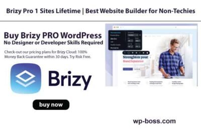 Brizy Pro 1 Sites Lifetime