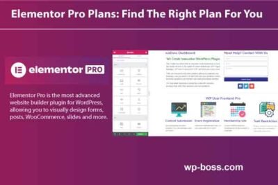 Elementor Pro Plans: Find The Right Plan For You
