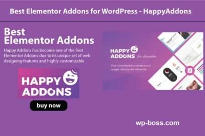 Happy Addons Multiple Sites