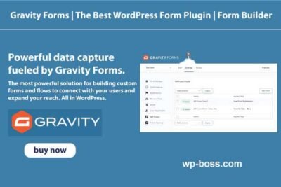 Gravity Forms Unlimited Sites