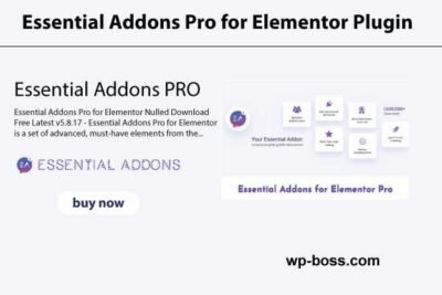 Essential Addon Pro