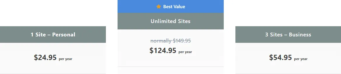 Perfmatters Pro Unlimited Sites